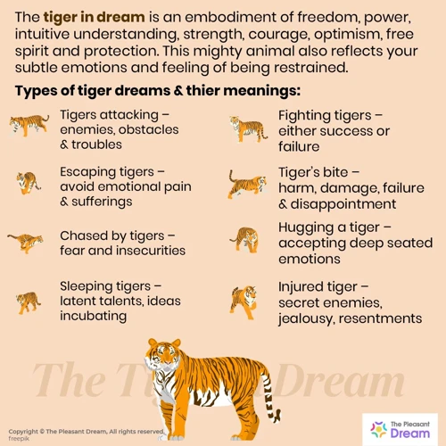 Ce Înseamnă Să Visezi Un Tigru?